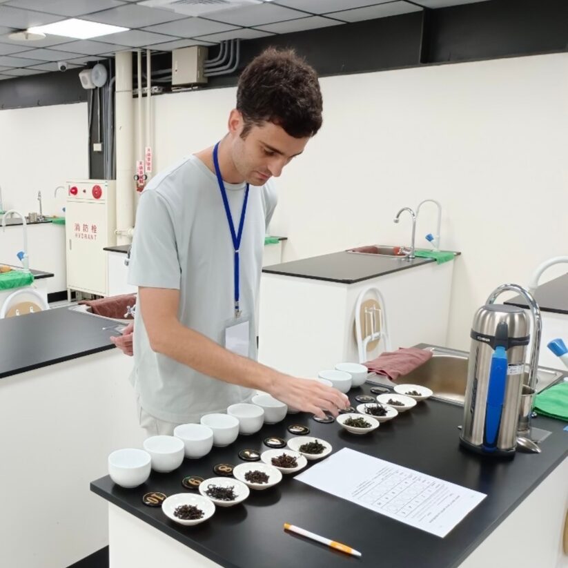 Guided tea cupping practice