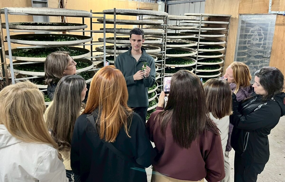 José Ellena teaching students at a Taiwanese tea factory